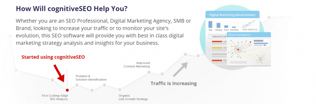 cognitiveSEO